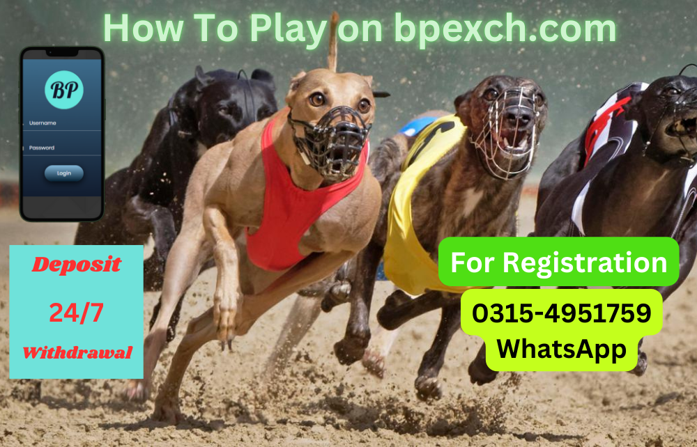 grayhound-tips-03154951759-bpexch-id